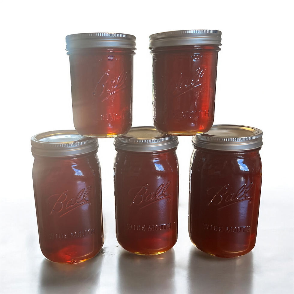 Photoroom_20250923_212531