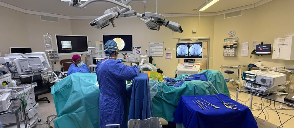 Shaping the Future of Spine Surgery in South Africa: My Vision for the South African Endoscopic Spine Society in 2025