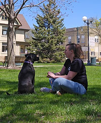 Dog Trainer Lab Mix