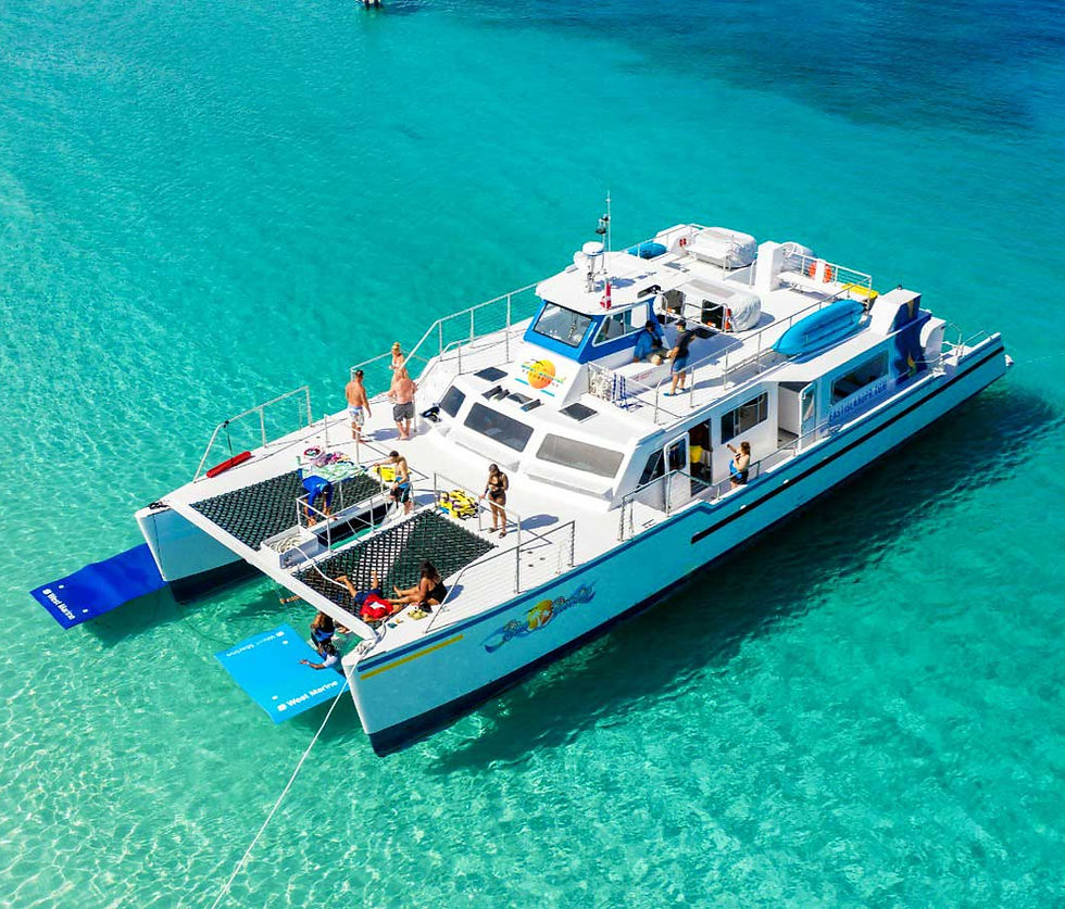 blue-paradise-head_edited.jpg