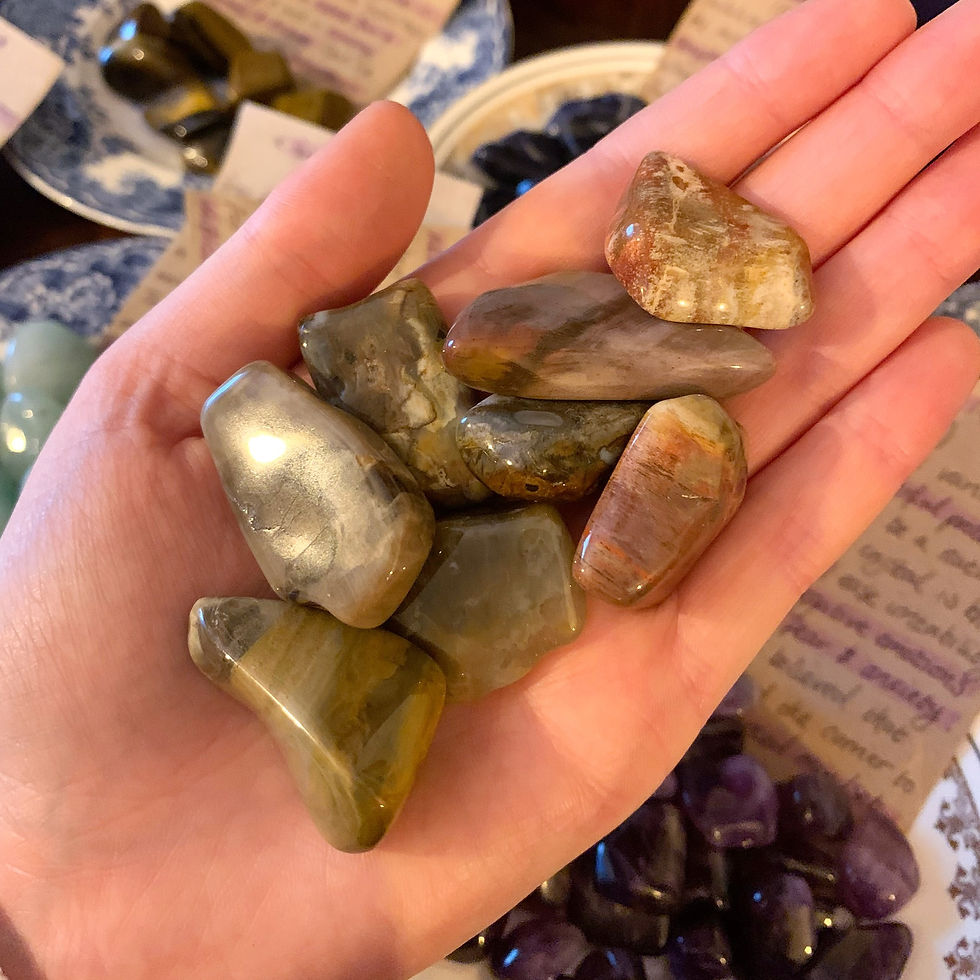 Fossilised Wood Tumblestone (Madagascar)