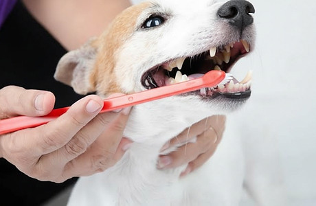dentalna_edited.jpg