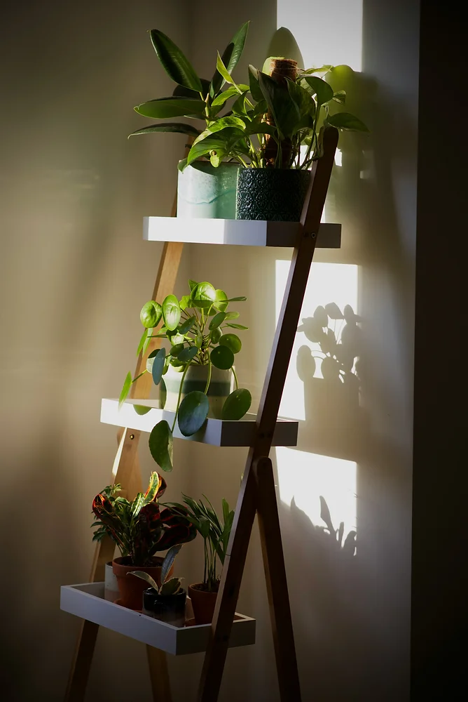 disco hanging planter Disco Ball Hanging Planter main image 1