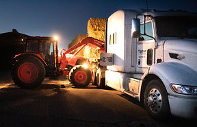 Loaded with hay-1.jpg