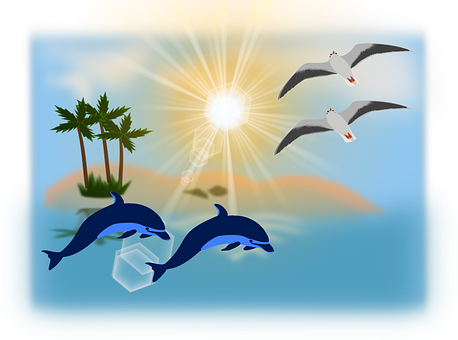 Find wild Dophin in the Indian River Lagoon