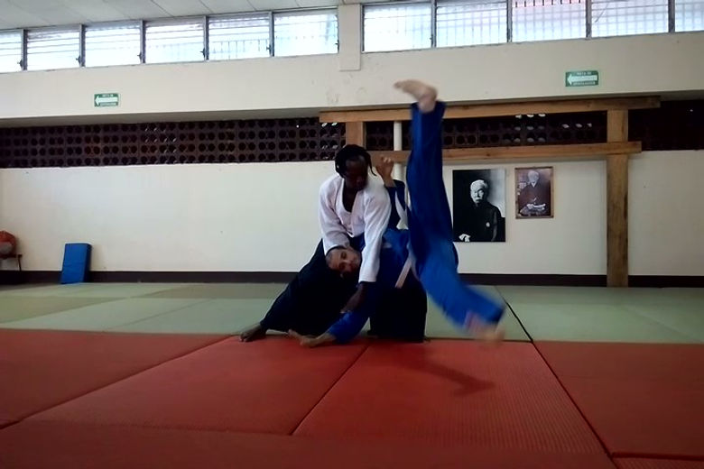 proyección aikido: Iriminage