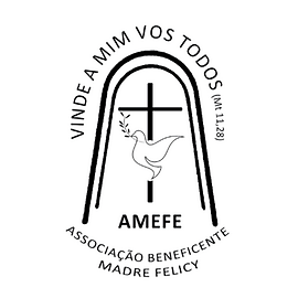 Logo Amefe