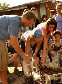 Em resposta à crise, jovens fundam comunidade sustentável