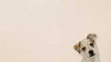 Home Page Banner1.png