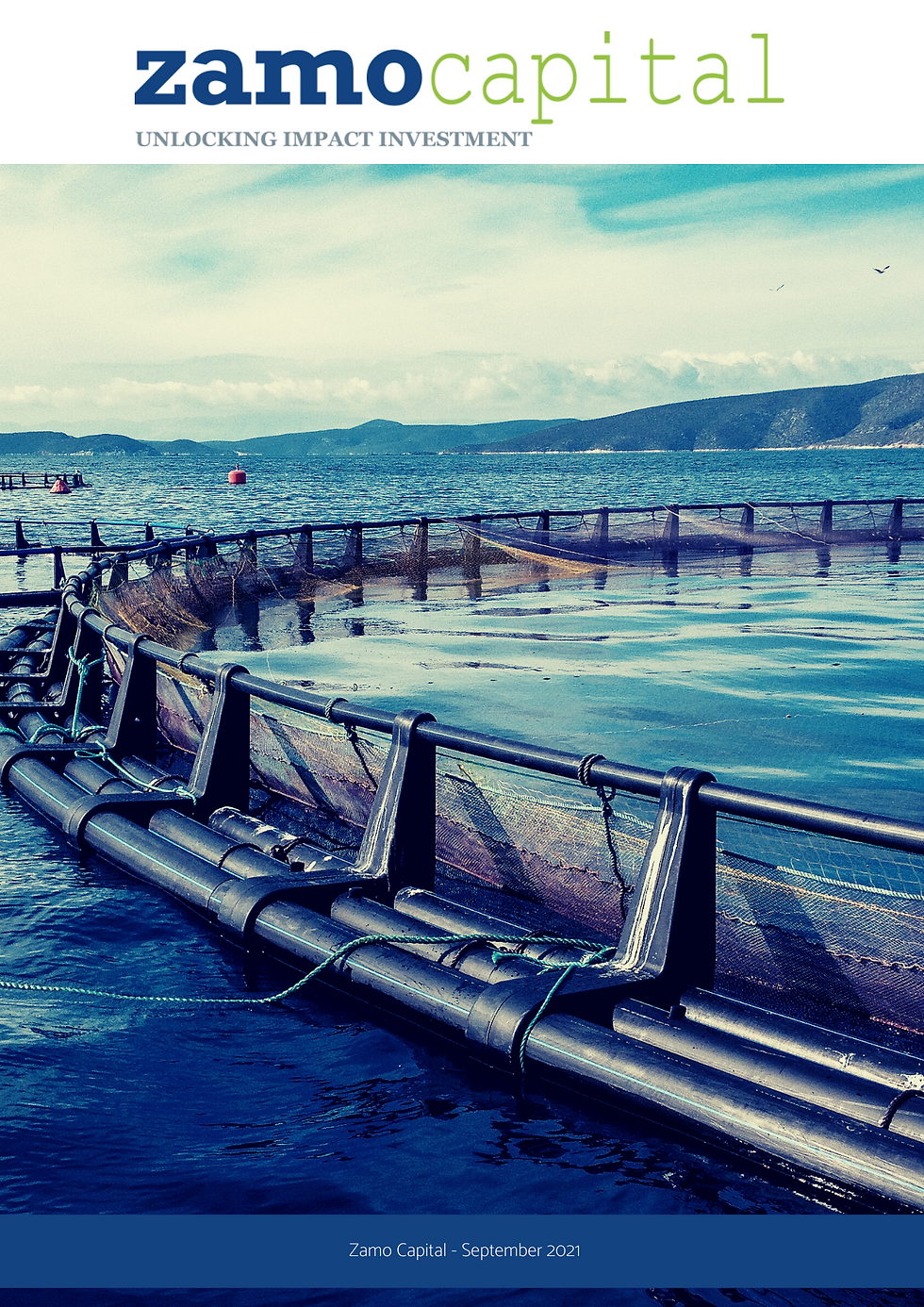 Zamo Capital