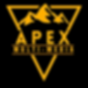 _apex multimedia logo
