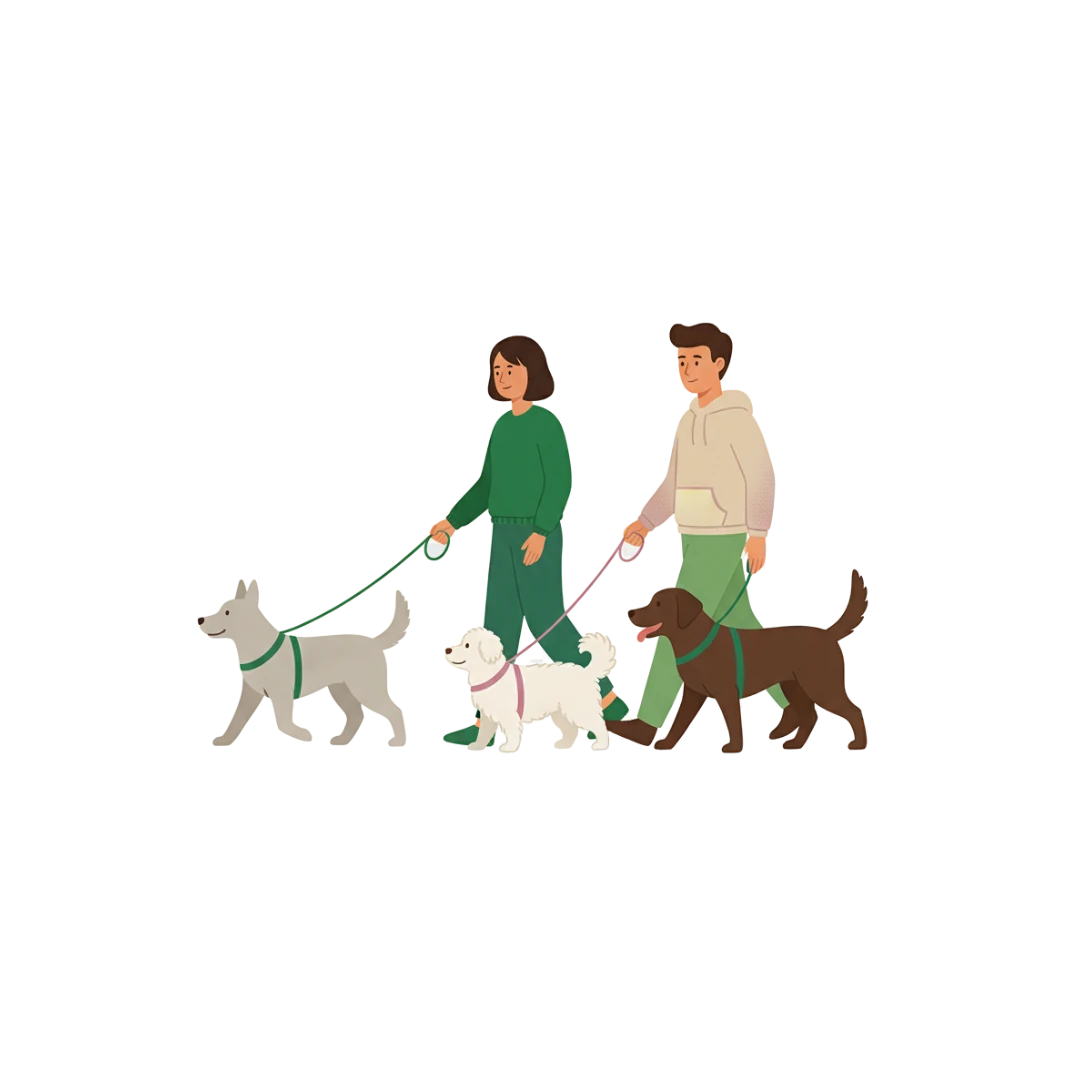 Social Walk Trainingsstunde (60 min)