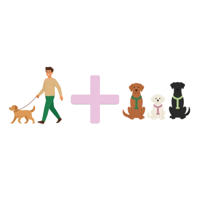 Junghunde- & Basiskurs