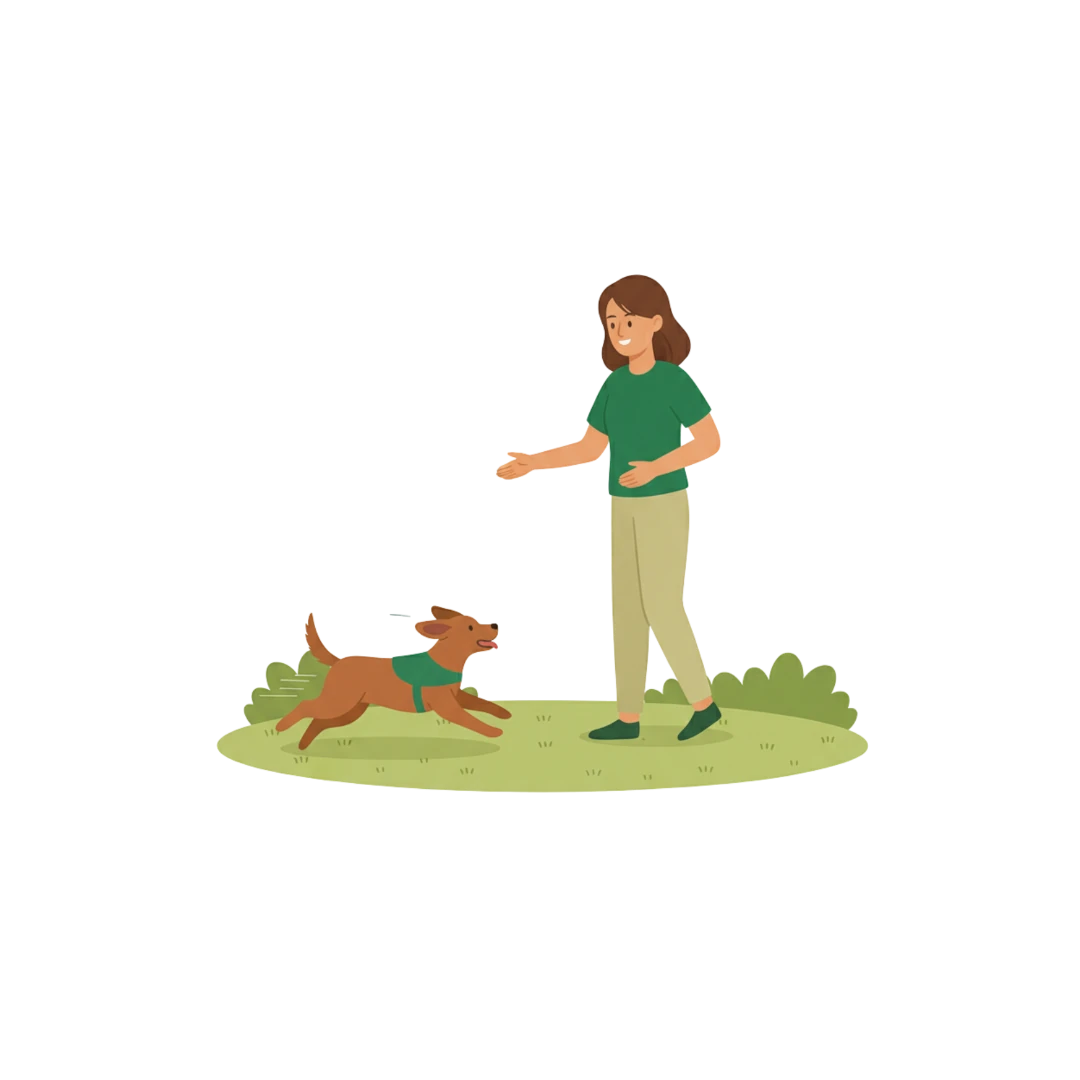 Individuelles Hundetraining (45 min)