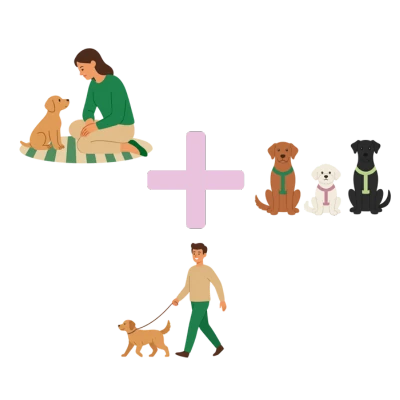 Welpen-, Junghunde- & Basiskurs