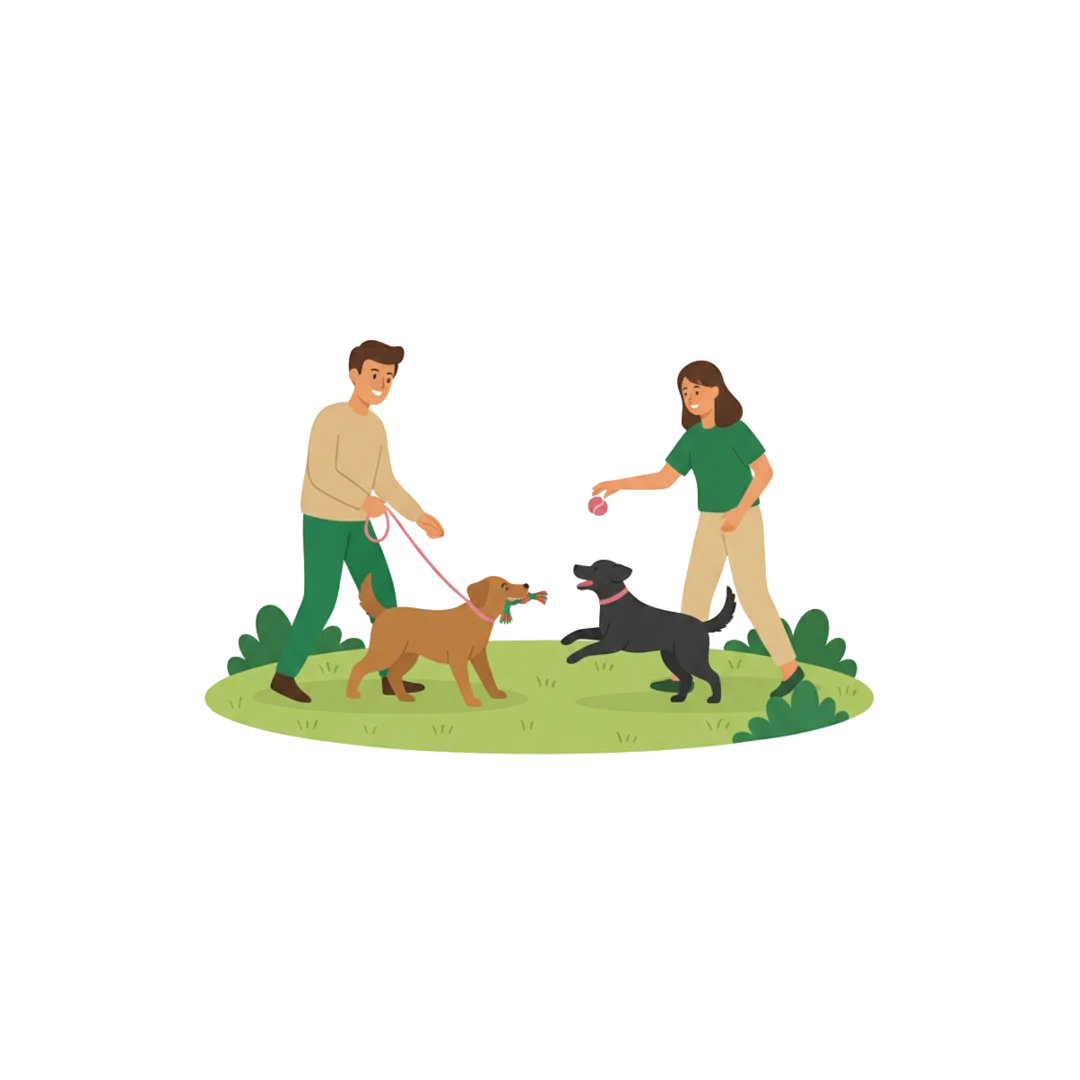 Spiel, Spaß, Bindung