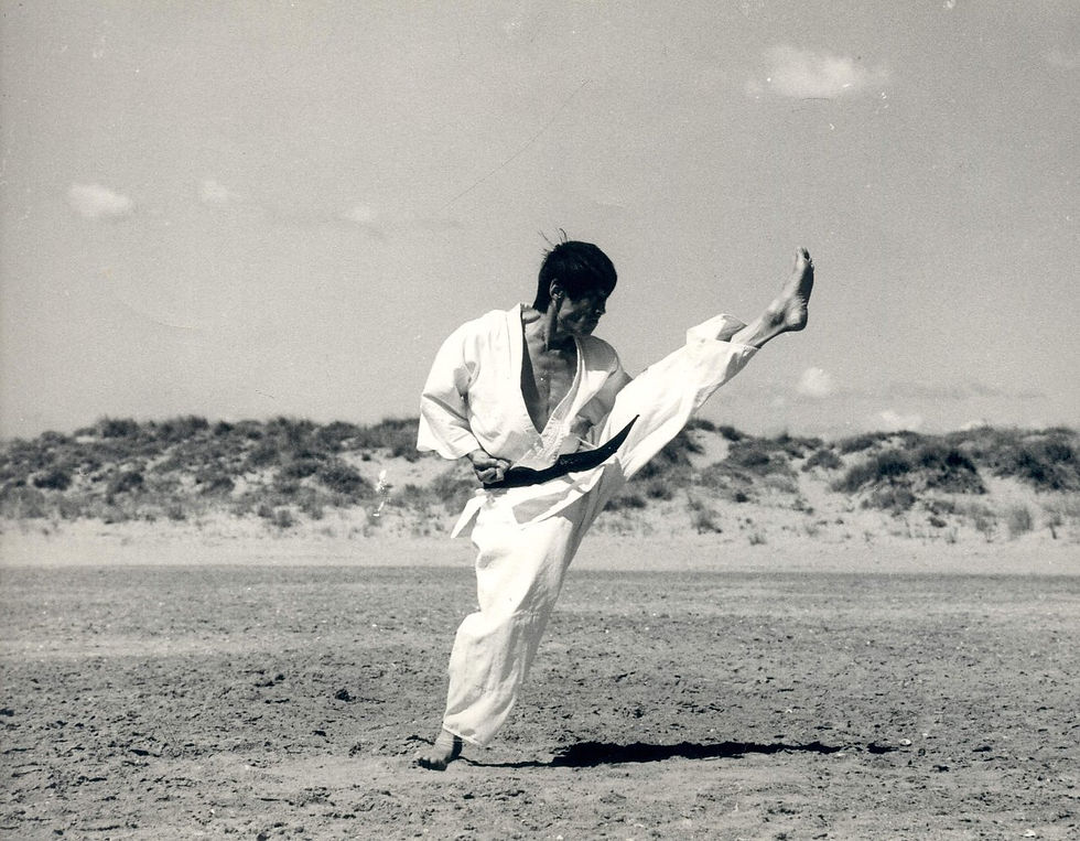 Mestre Murakami-SÃ©rignan-2.JPG