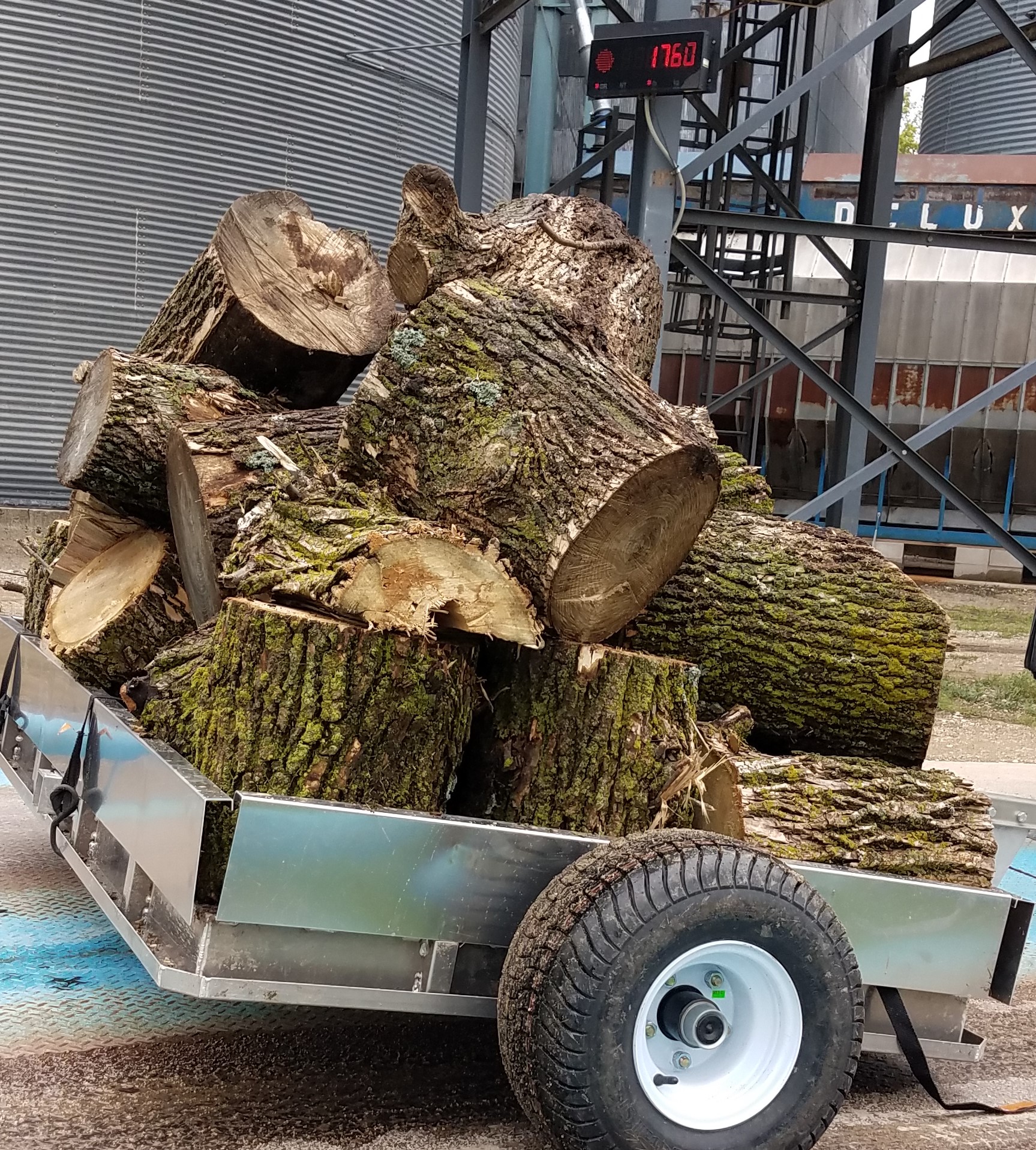 Rambo Trailer, an aluminium multi-use on and off road trailer hauling a hefty load of wood. 