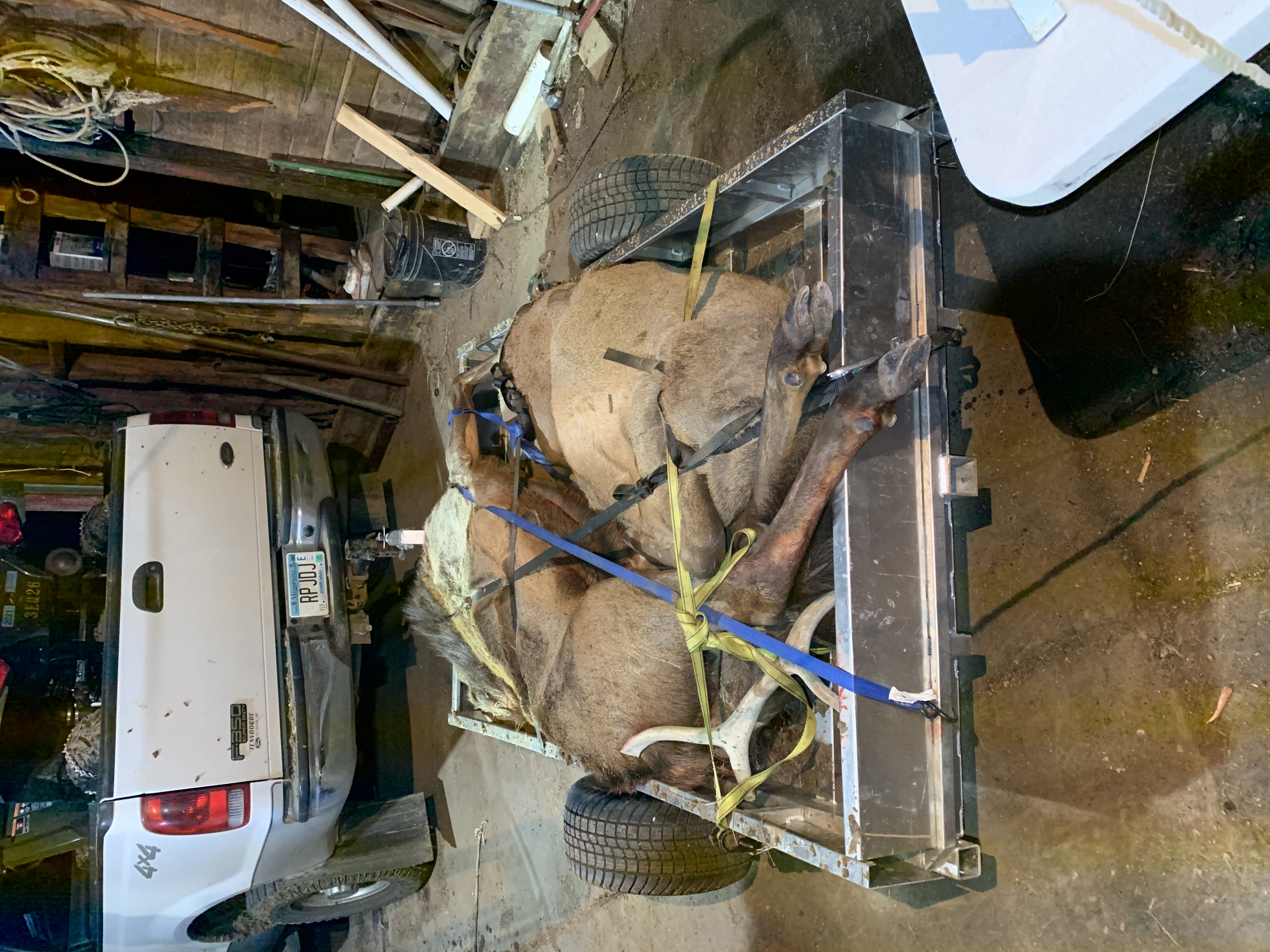 Rambo Trailer, an aluminium multi-use on and off road trailer, with wild game in the back following a successful harvest in the mountains. 