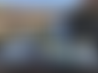 【野外スケッチ】大阪城公園のご報告 12月7日