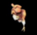 Thumbnail: ANIMAL PROP PUTRID CHICKEN