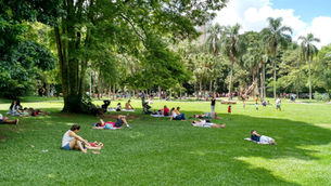 Fim de ano no Parque Burle Marx tem atividades gratuitas. Aproveite! 