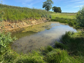 Hot weather calls for a little water work