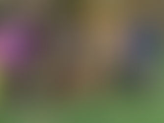 Award winners with dogs