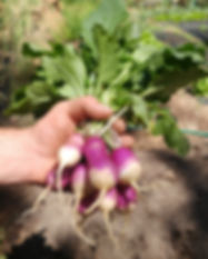 20180617_152041.jpg