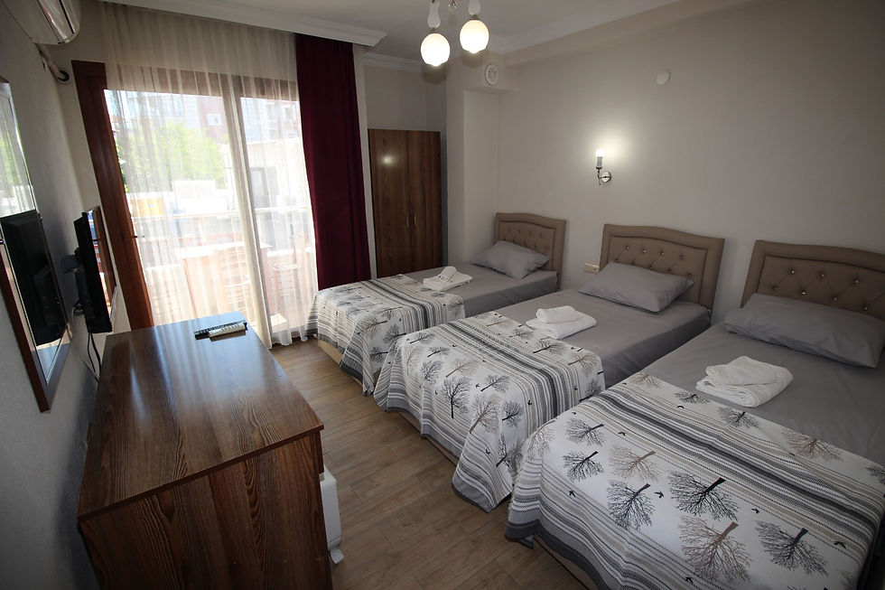 Küçük resim: Işık Otel