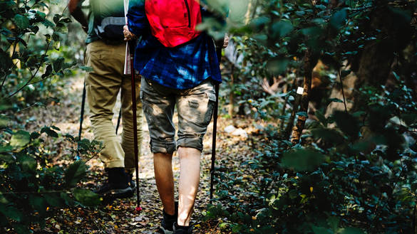 Wandern in Leimen