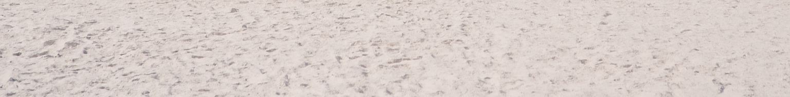 Background_edited.jpg