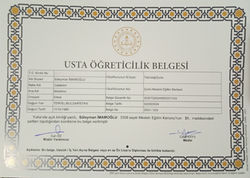 IMG_20240816_211602_560_-1281700619