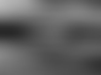 11. Chasm Separates the Navy Gold Star Program and the DoD