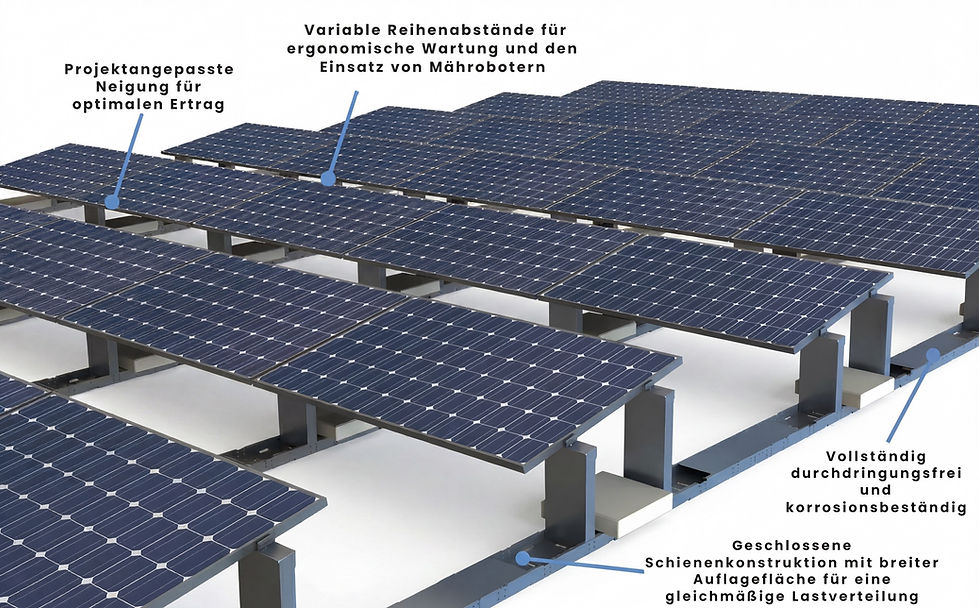Bild1.jpg