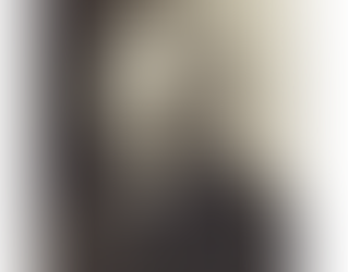 APOLOGIE DE L'HOMME ET DOUBLE APOLOGIE DU PRÉNOM STÉPHANE