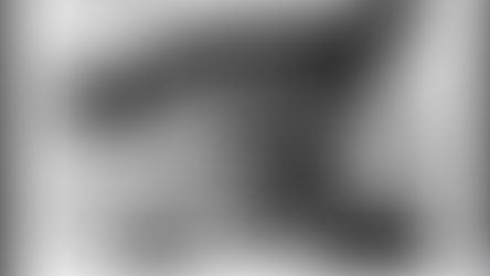 Les 23 conjectures du mathématicien allemand David Hilbert