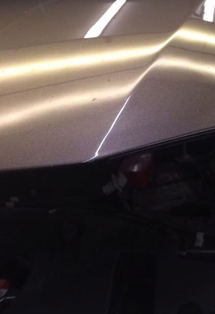 dent-repaired-on-hood