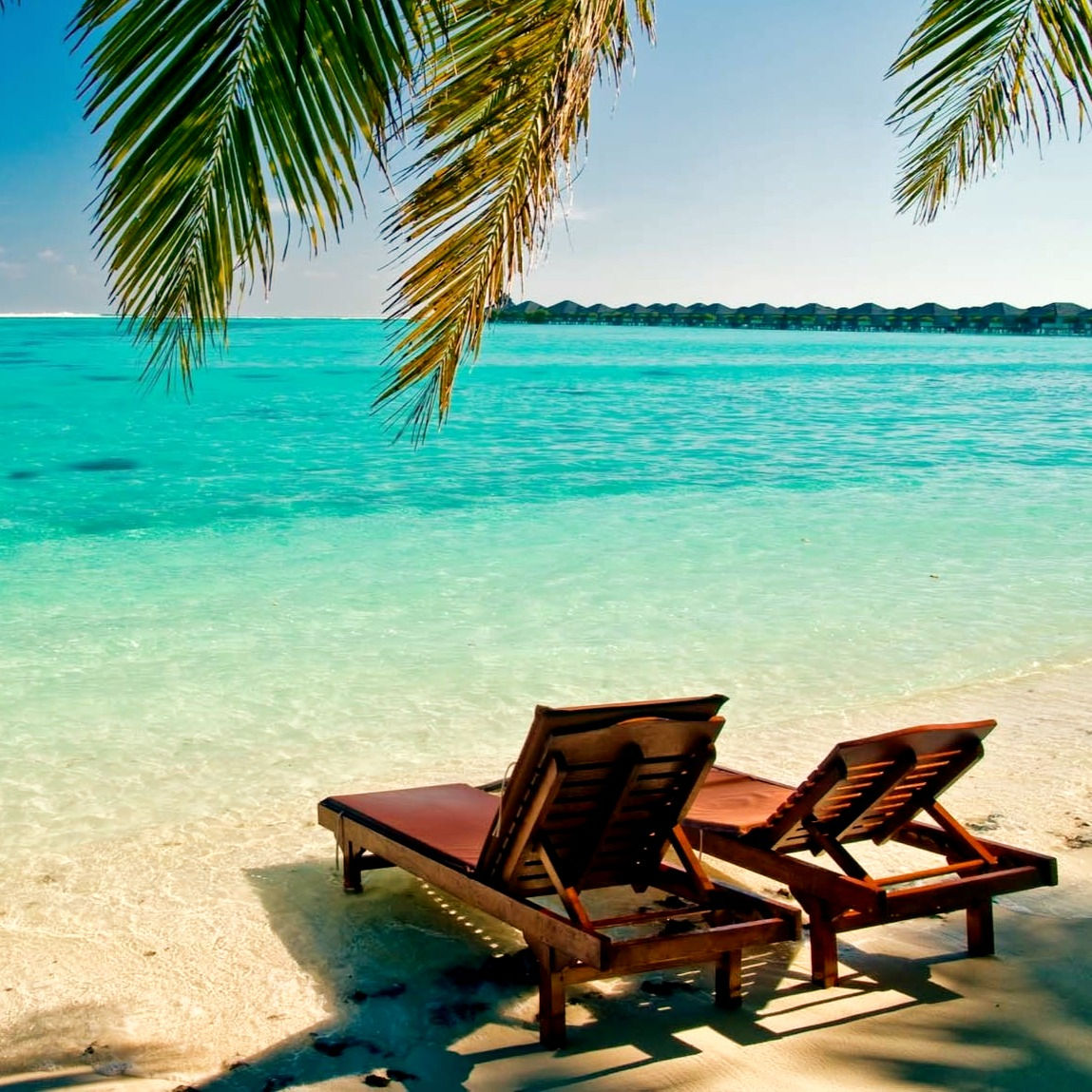 Agosto, Amore Mio non ti Conosco  Fragranza