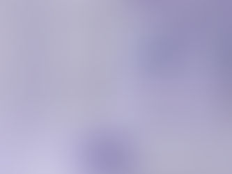 The Best Phone Stand Nearby: A Local Guide