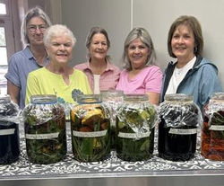 aging the herbal