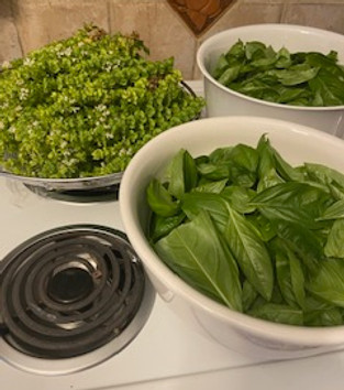 fresh basil.jpg