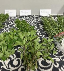 fresh_herbs