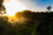 Resolution Sunrise2018.jpg