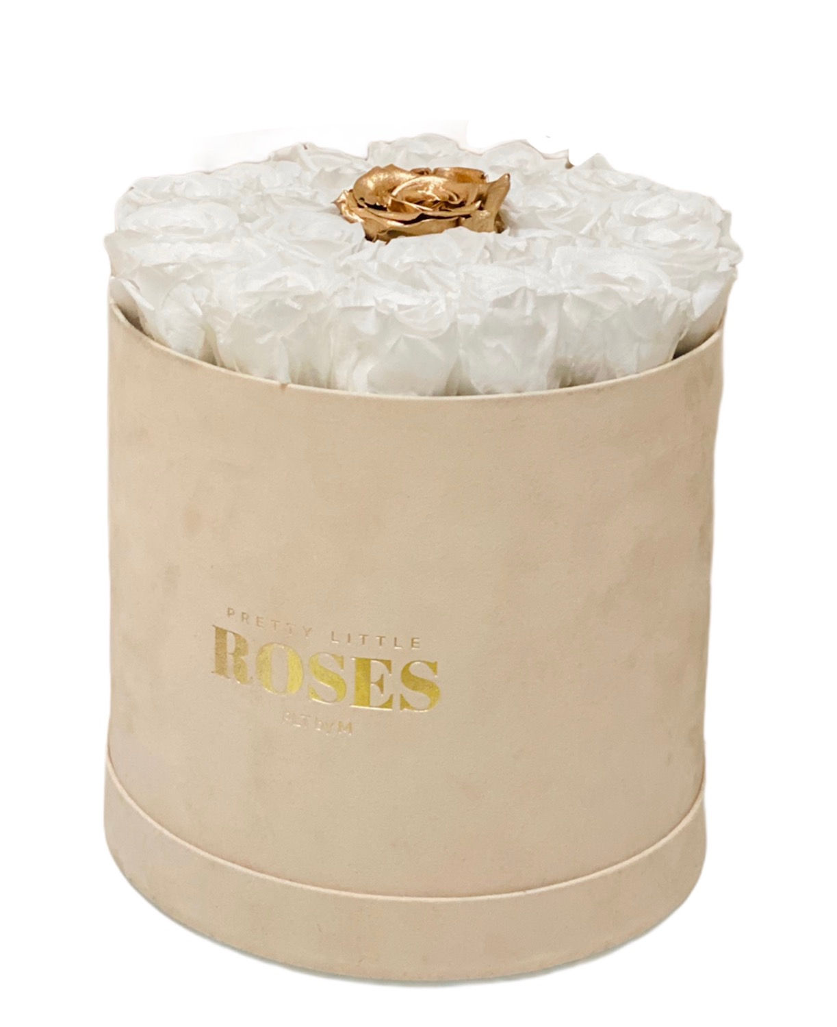 Deluxe Beige Velvet - Choose Color Roses