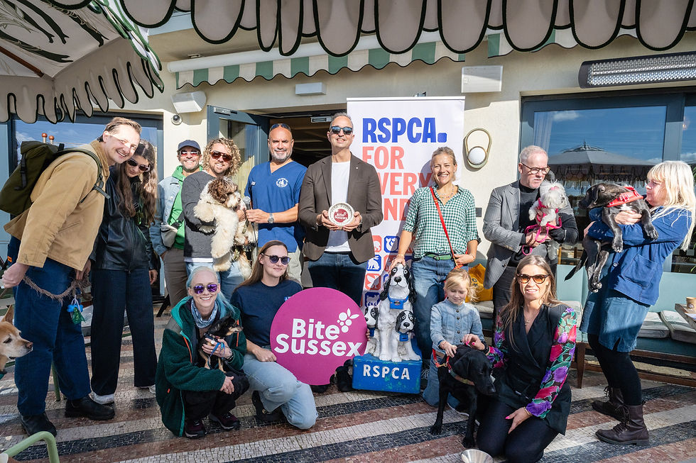 BITE Sussex Dogs Dinner competition 2026: Canine critics vote on Brighton’s best bites
