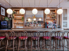 Preview of the Crazy Goose