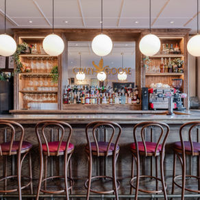 Preview of the Crazy Goose