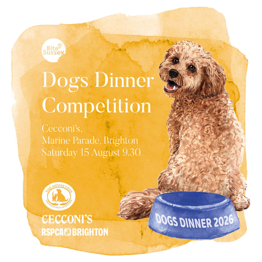 Dogs Dinner Competition