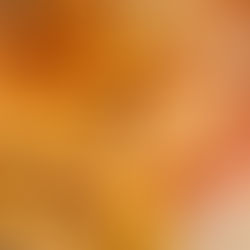 Review: If fish is your dish, it doesn’t come better than The Salt Room